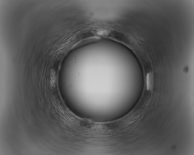 X0000116581443200912101529