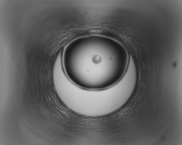 X0000116581444200912101529