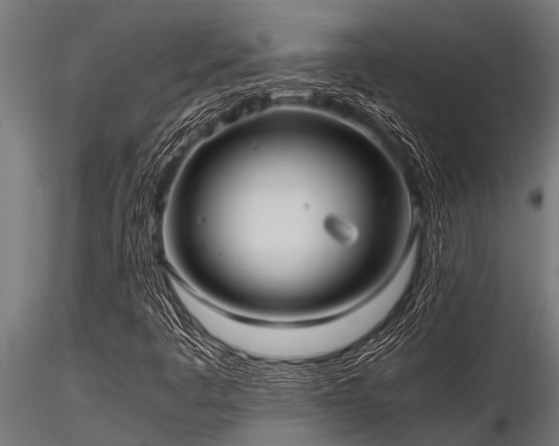 X0000116581445200912101529