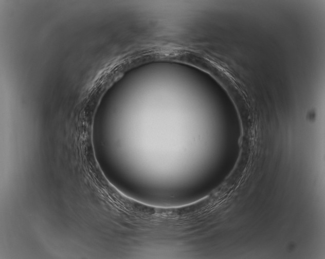 X0000116581447200912101529