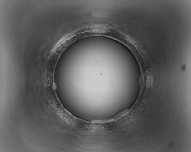 X0000116581448200912101529