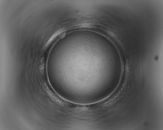 X0000116581450200912101529