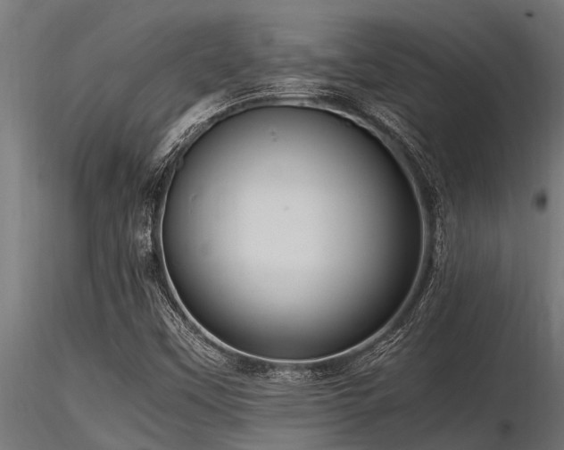 X0000116581451200912101529