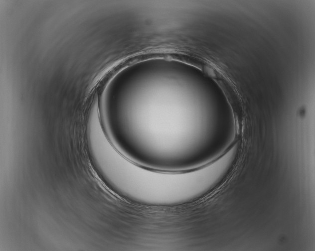 X0000116581452200912101529
