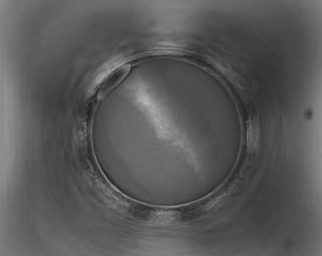 X0000116581453200912101529