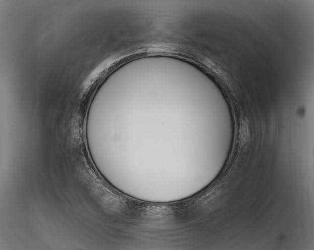 X0000116581454200912101529