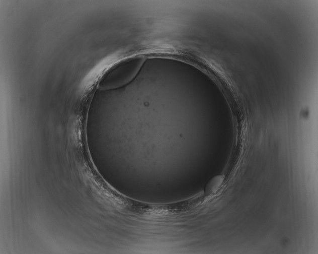 X0000116581455200912101529