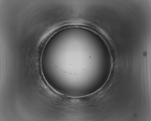 X0000116581456200912101529