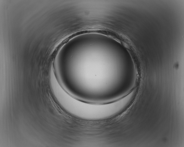 X0000116581457200912101529
