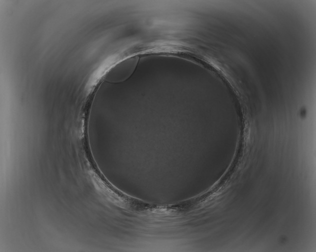X0000116581459200912101529