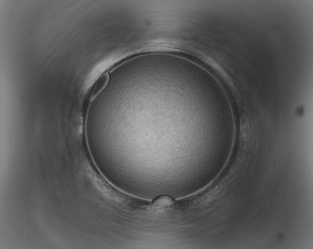 X0000116581461200912101529