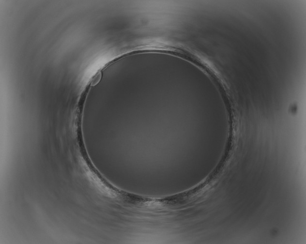 X0000116581463200912101529