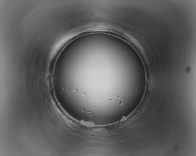 X0000116581464200912101529