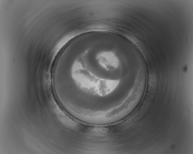 X0000116581466200912101529