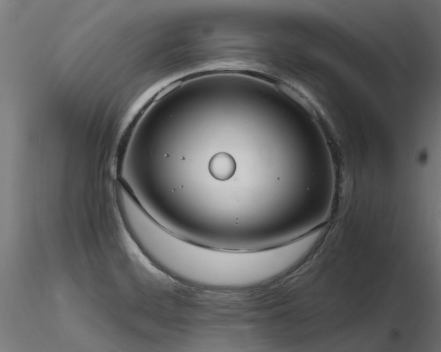 X0000116581468200912101529