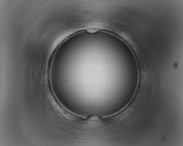X0000116581469200912101529