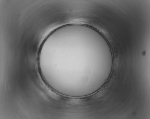 X0000116581470200912101529