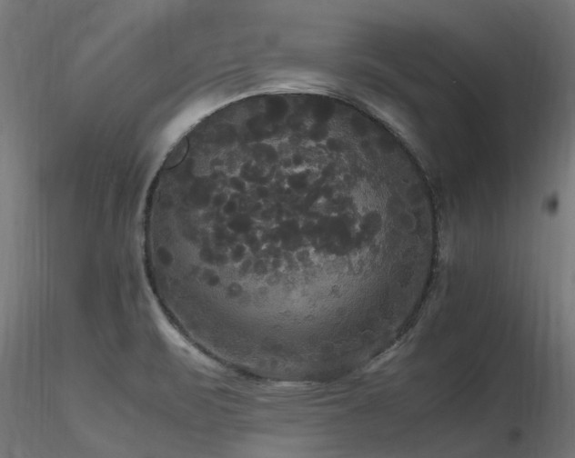 X0000116581471200912101529