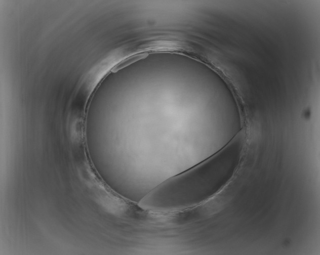 X0000116581473200912101529
