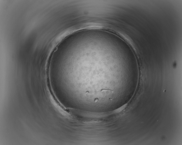 X0000116581475200912101529