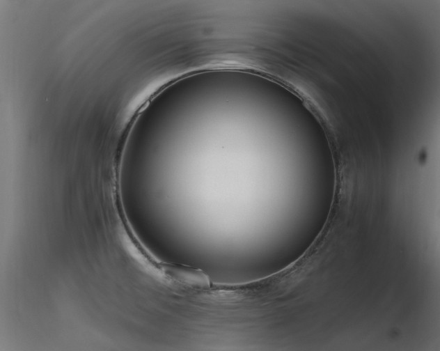 X0000116581476200912101529