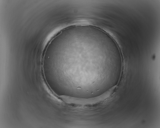 X0000116581477200912101529