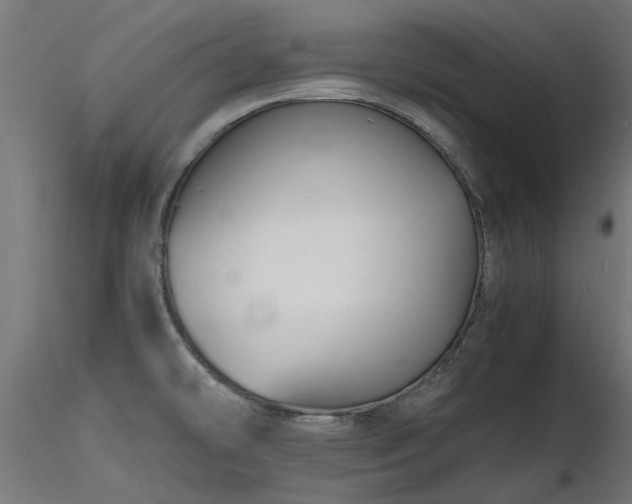 X0000116581478200912101529