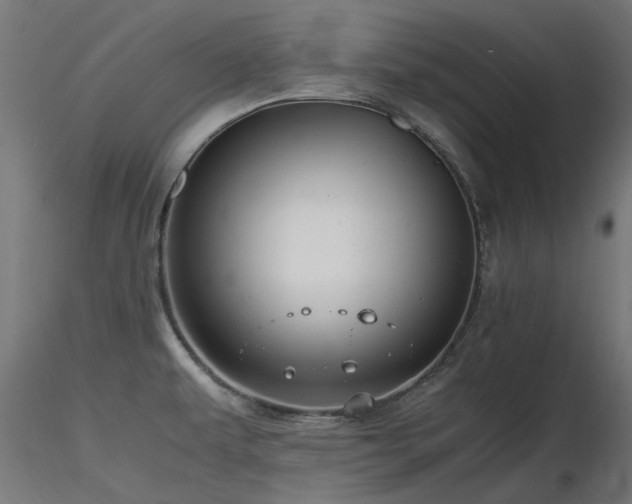 X0000116581479200912101529