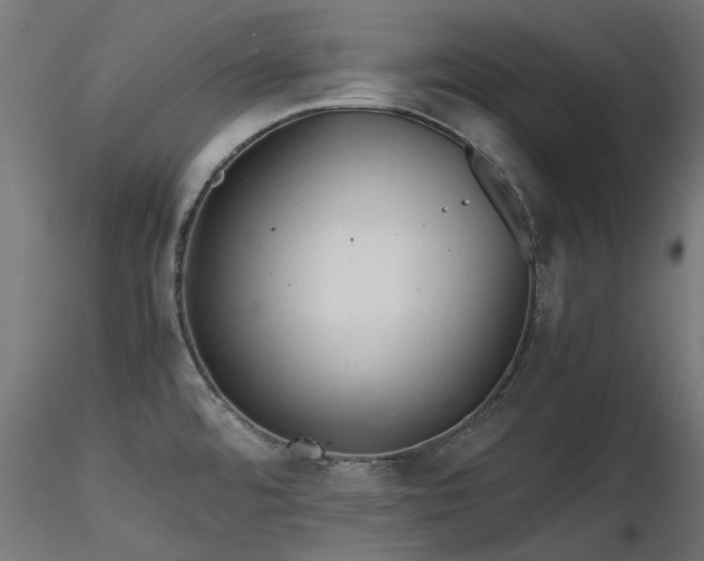 X0000116581480200912101529