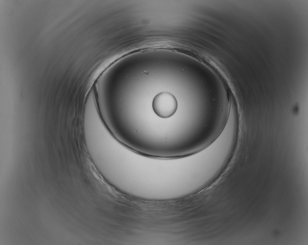 X0000116581481200912101529