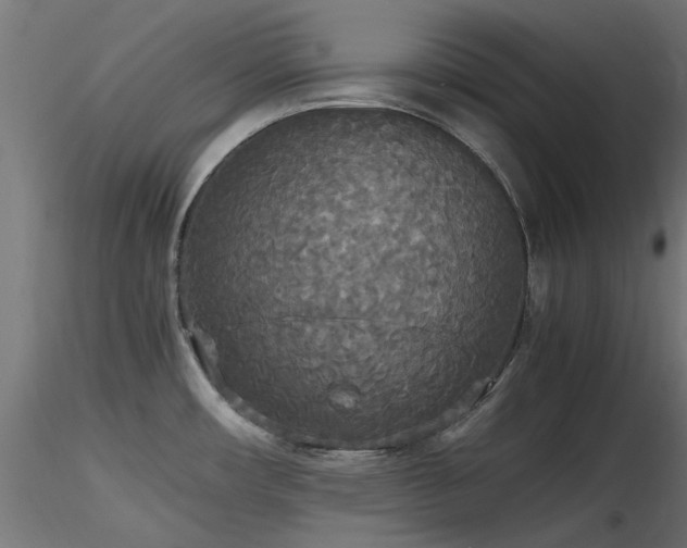 X0000116581482200912101529