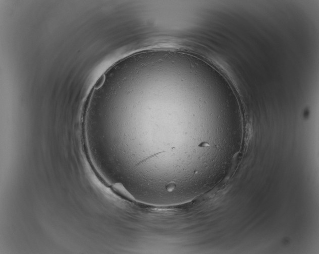 X0000116581483200912101529