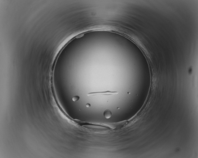 X0000116581484200912101529