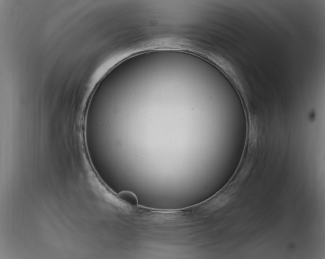 X0000116581486200912101529