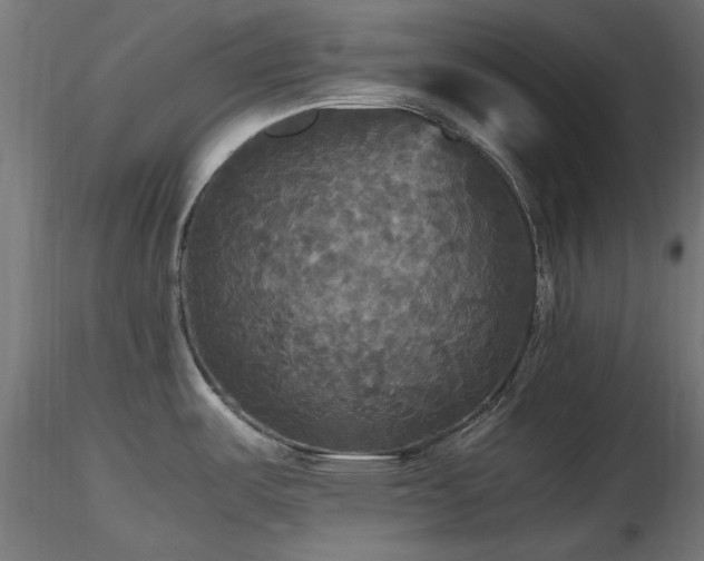X0000116581487200912101529