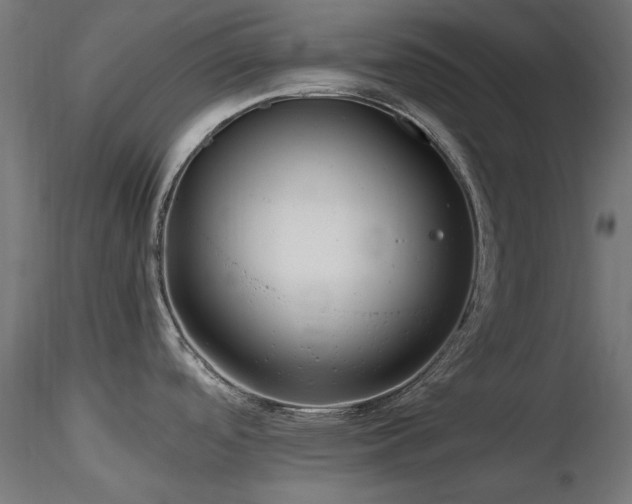 X0000116581488200912101529