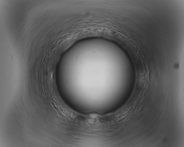 X0000116581489200912101528