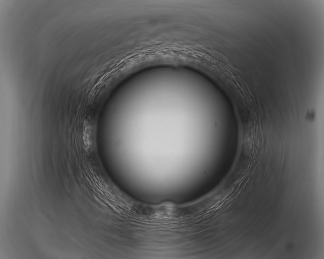 X0000116581490200912101528