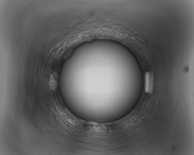 X0000116581491200912101528
