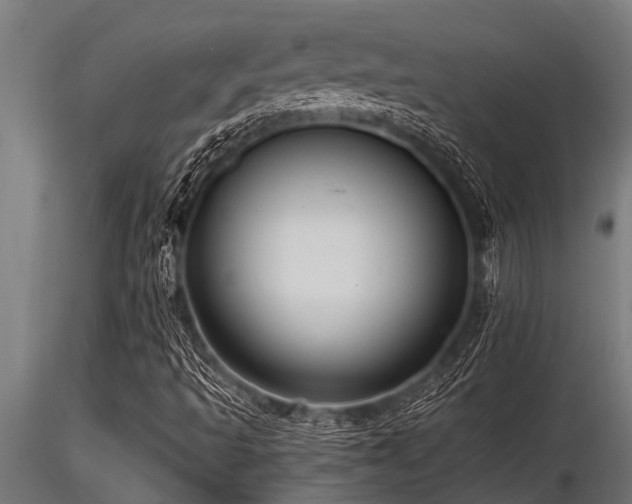X0000116581493200912101528