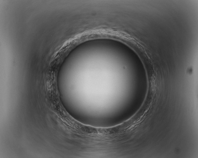 X0000116581494200912101528