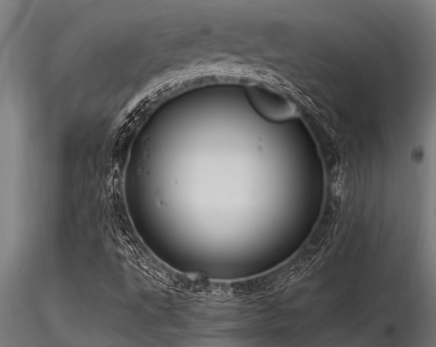 X0000116581495200912101528