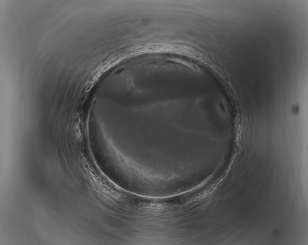 X0000116581497200912101528