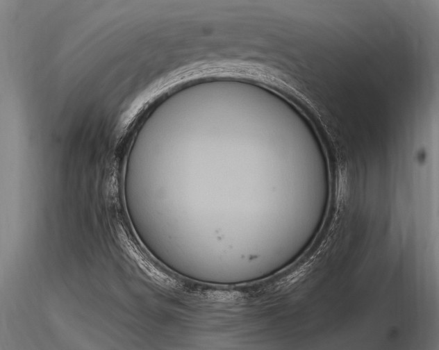 X0000116581498200912101528