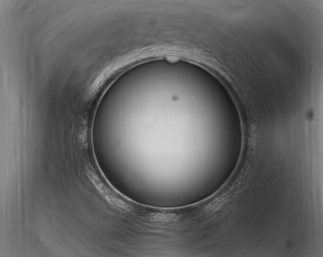 X0000116581499200912101528