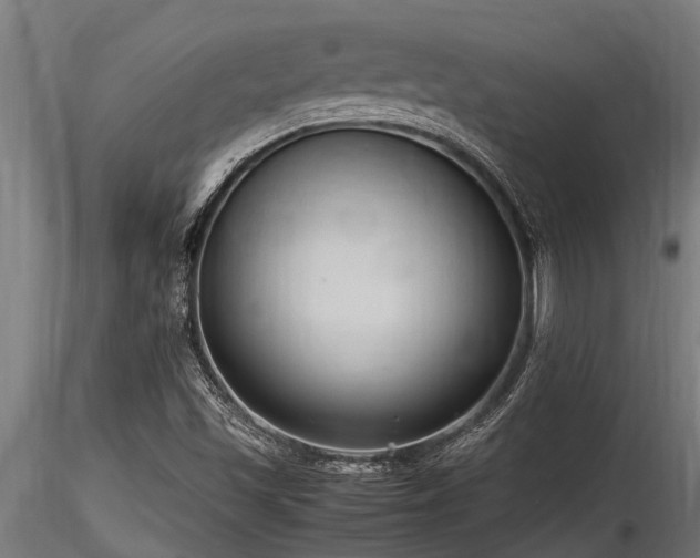 X0000116581501200912101528