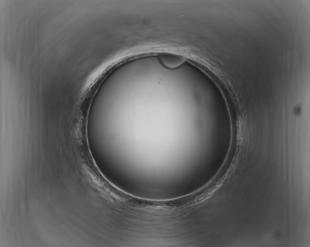X0000116581502200912101528