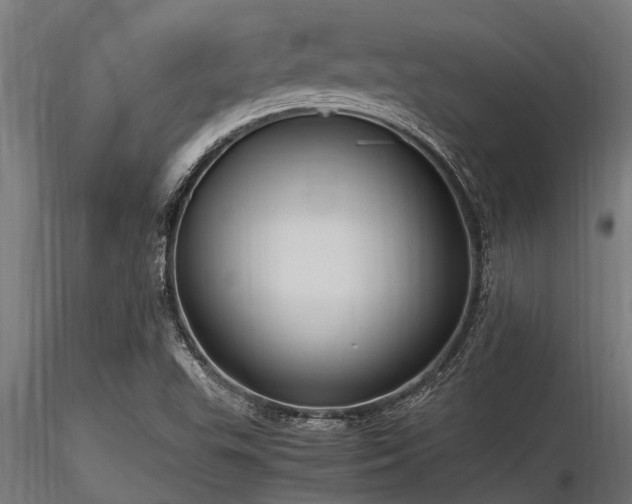 X0000116581503200912101528