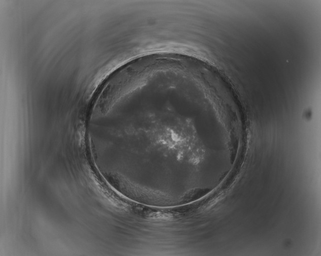 X0000116581505200912101528