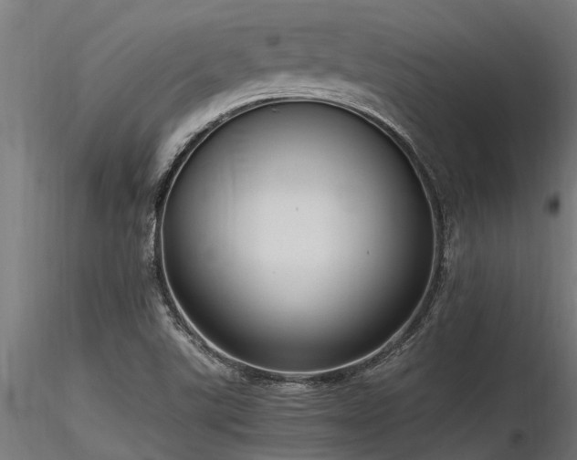 X0000116581507200912101528